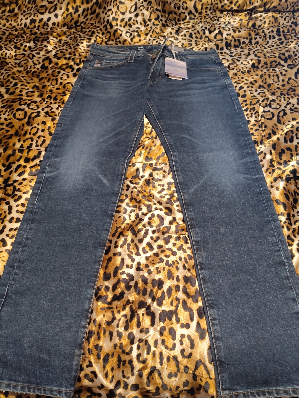 Ag Adriano Goldschmied Men's Skinny Jeans in Dark Indigo